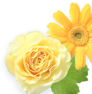 リンベルの父の日ギフト21 リンベル カタログギフト