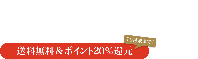 おいしい牛肉を食べて元気になろう！キャンペーン 送料無料＆ポイント20%還元 10月末まで！