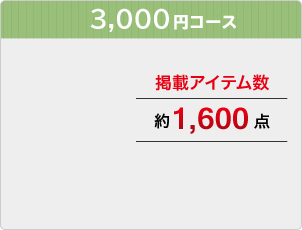 3000ߥ