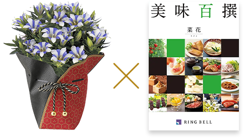 敬老の日専用ラッピング】リンドウ＋美味百撰　菜花コース