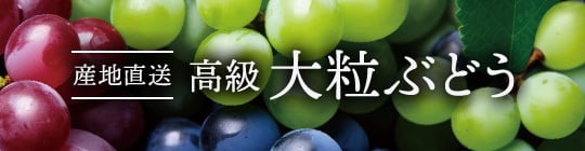高級 大粒ぶどう