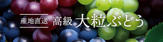 高級 大粒ぶどう