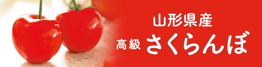 山形県産 高級さくらんぼ 2026