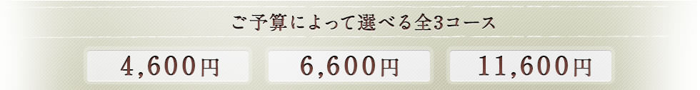 ͽˤä٤3 4,600 6,600 11,600