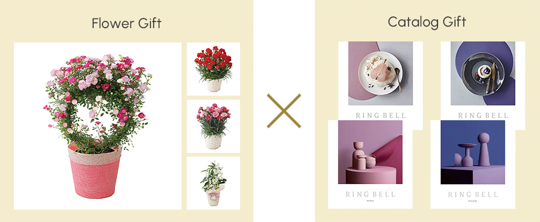 Flower Gift × Catalog Gift