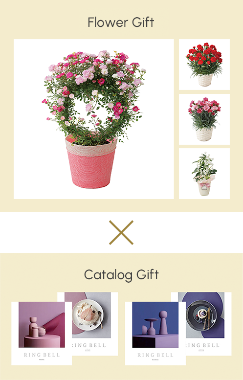 Flower Gift × Catalog Gift