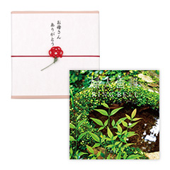 【母の日専用ラッピング】カタログギフト　婦人画報×リンベル　百花（ひゃっか）
