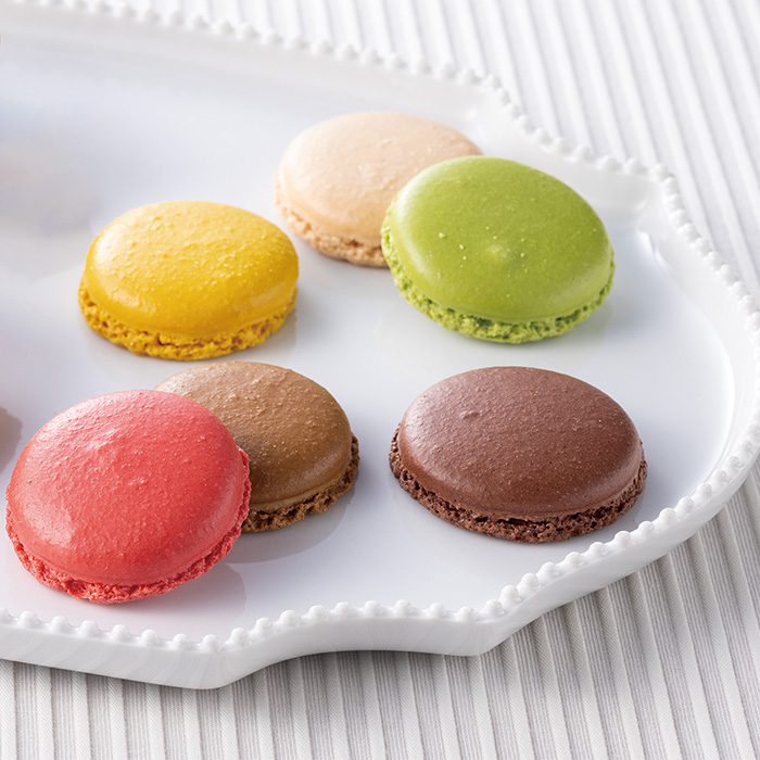 【ギフトセット】　カタログギフト　プレゼンテージ　ギャロップ（一般）＋ダロワイヨ　マカロンラスク（８枚入）