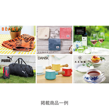 【ギフトセット】　カタログギフト　プレゼンテージ　ビオラ（一般）＋とらや　小形羊羹９本入