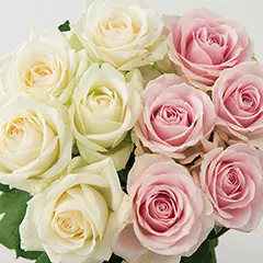 山形県　大山バラ園　バラの花束（２０本）ピンク＋ホワイト【記念日の花束】
