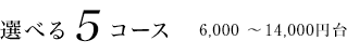 選べる5コース 6,000～14,000円台