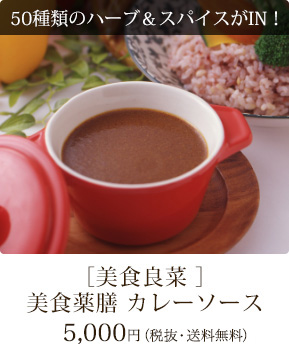 美食薬膳　カレーソース