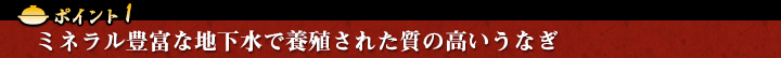 ミネラル豊富な地下水で養殖された質の高いうなぎ