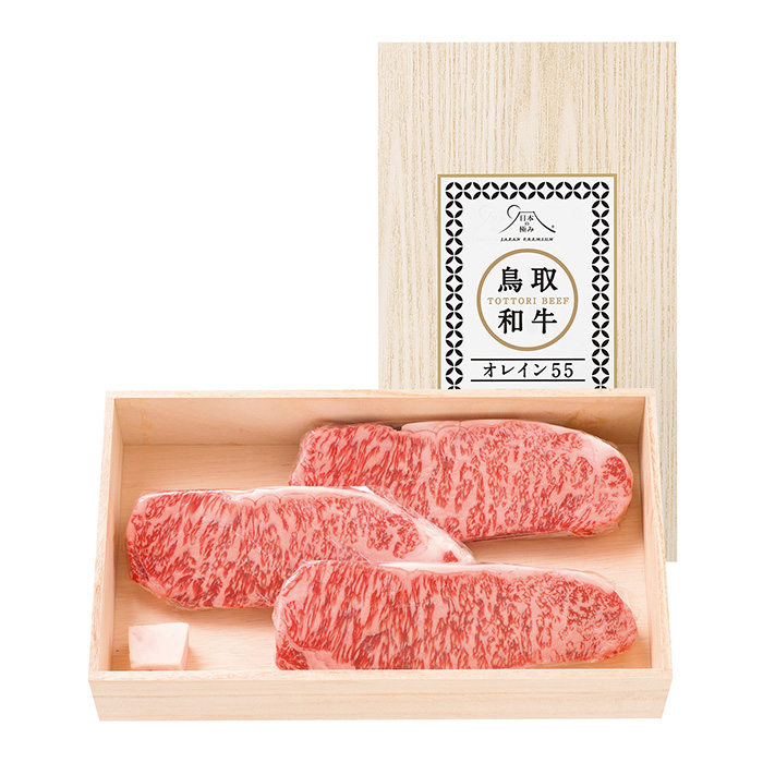 日本の極み　鳥取県　鳥取和牛オレイン５５　サーロインステーキ　肉質等級：５等級（Ｂ．Ｍ．Ｓ．Ｎｏ．８）　６００ｇ