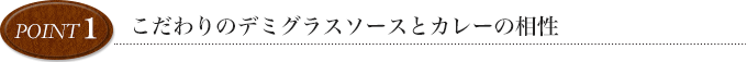 point1 こだわりのデミグラスソースとカレーの相性