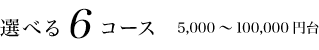選べる6コース 5,000～100,000円台