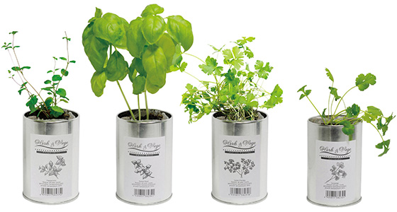 リアル情報 リンベル ハーブ ベジ栽培キット 贈り物のコンシェルジュ リンベル