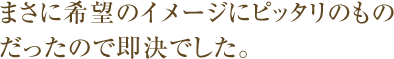 まさに希望のイメージにピッタリのものだったので即決でした。