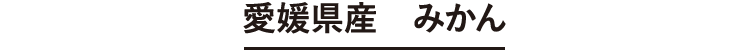 愛媛県産 みかん