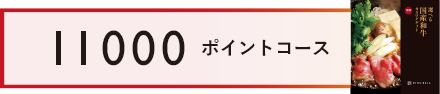 11000ポイントコース