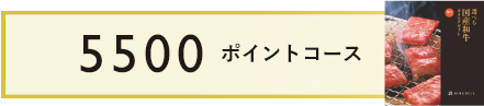 5500ポイントコース