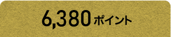 6380ポイントコース