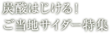 炭酸はじける！ご当地サイダー