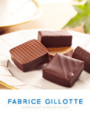 ファブリス・ジロット Fabrice Gillotte